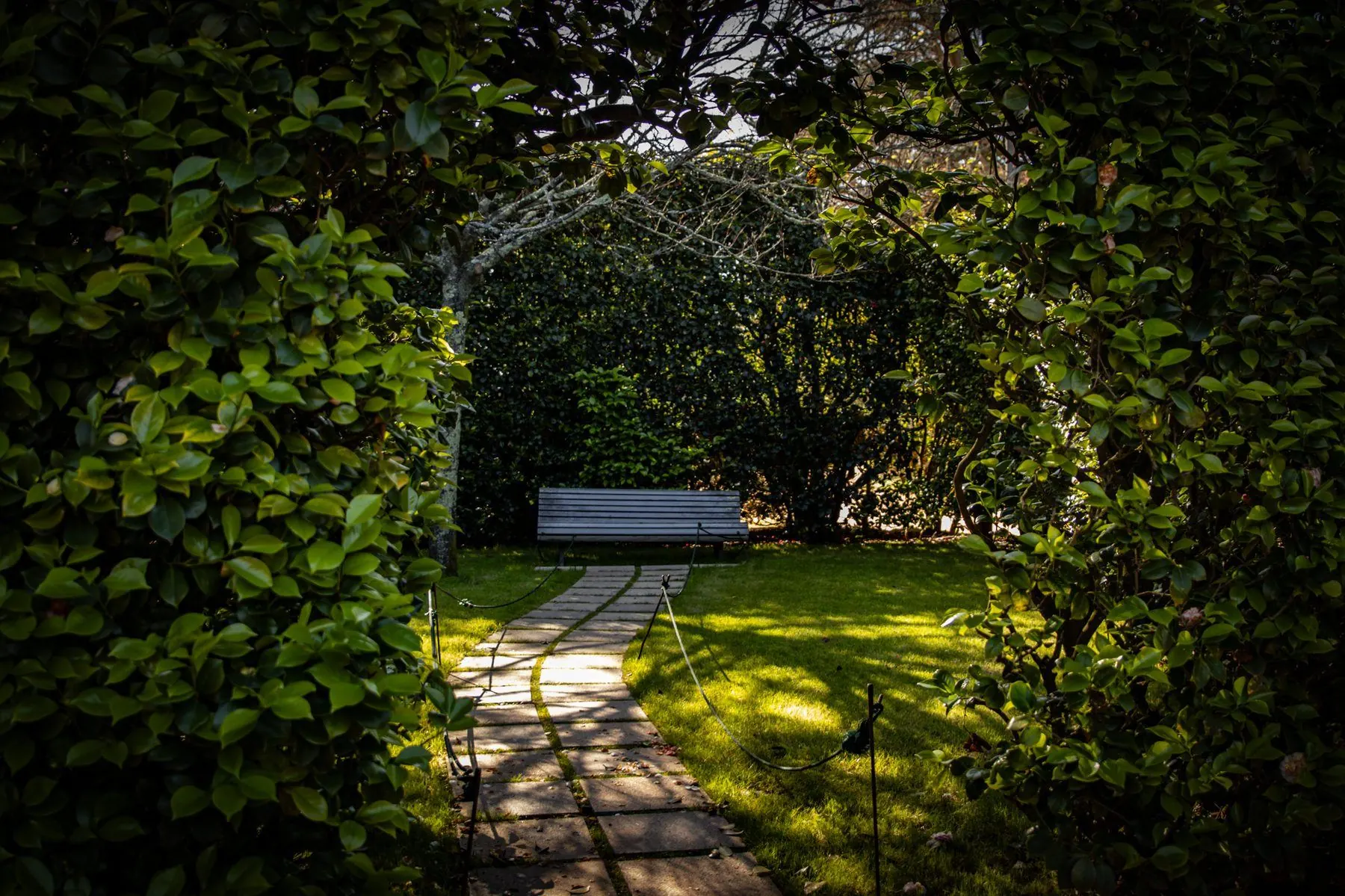 Fotografia de paisagem