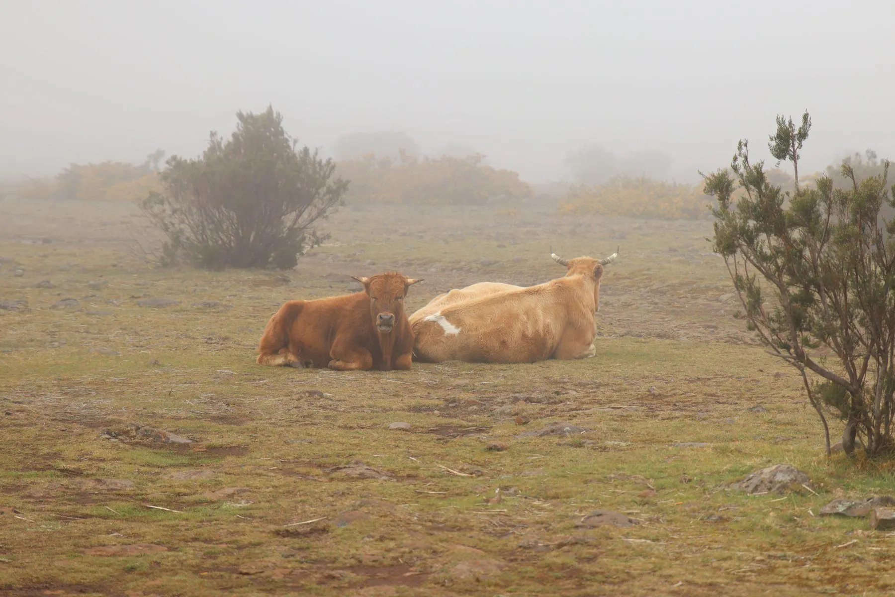Fotografia de paisagem